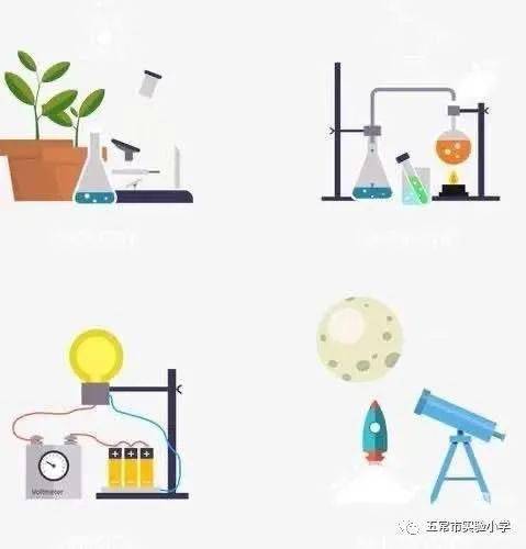 【实小科研】指向深度米乐 M6米乐学习的有效教学策略研究——科学组变式教学促进深度学习策略的研究报道(图2)