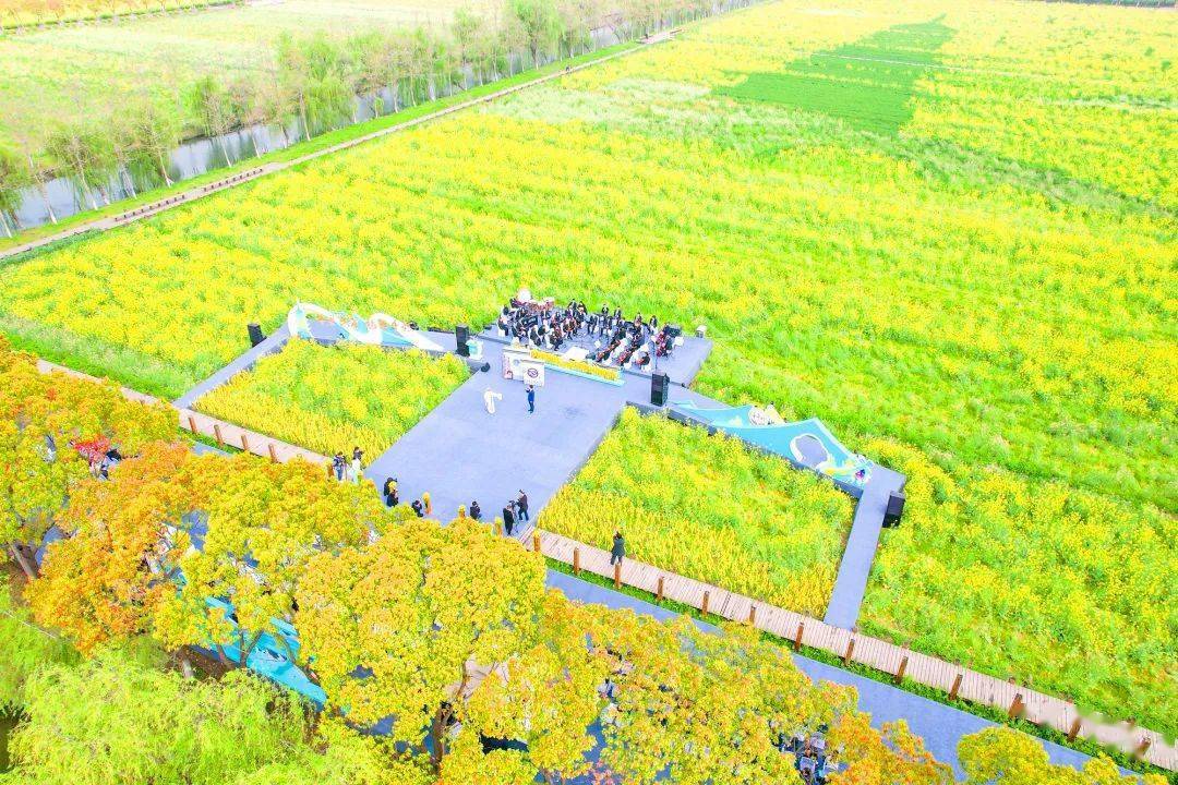 大唐生态园在发挥现代农业示范效应的基础上,聚焦“农文旅+”持续推进体