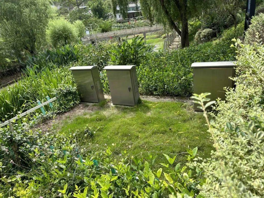 攀西芒果产业发源地 崛起了一座“吃阳光饭”的“零碳村”(图10)