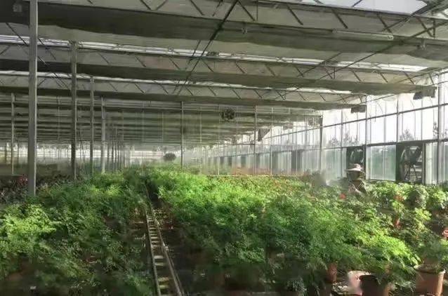 开云 开云体育官网休闲农业和乡村旅游精品景点线路推介⑭：龙江第一镇 醉美兴十四(图3)