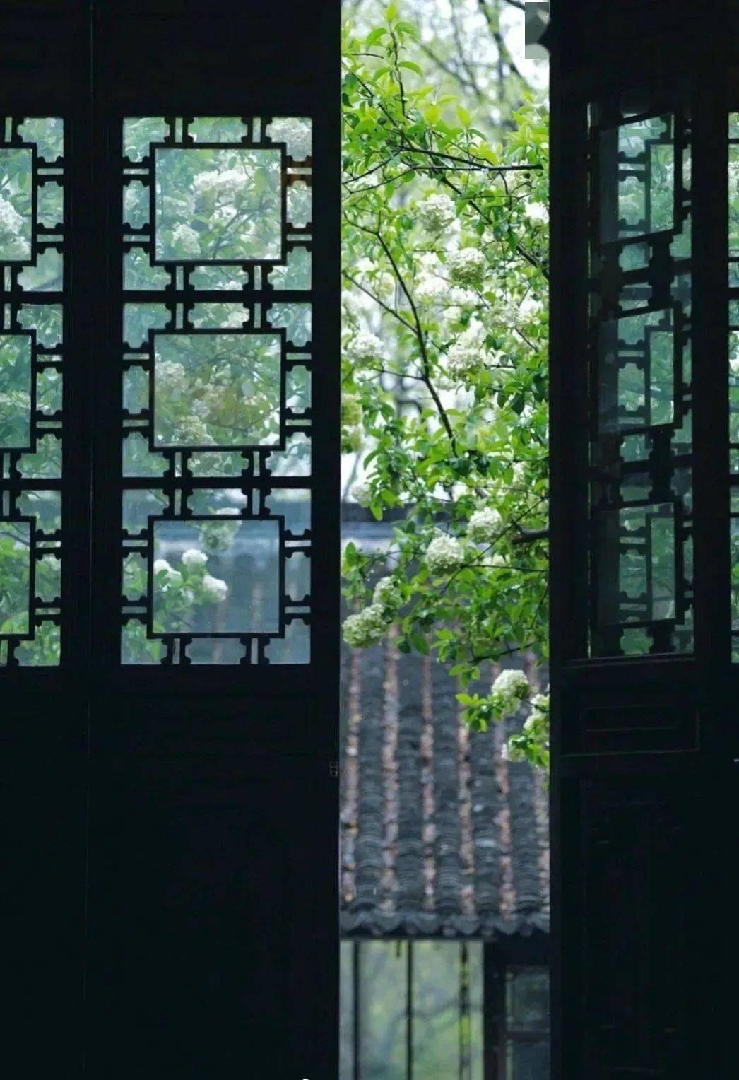 净几明窗，好香苦茗