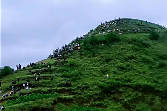 威宁县秀水镇阴雨绵绵,然而这一天秀水镇山坡山的农田里发生奇异叫声