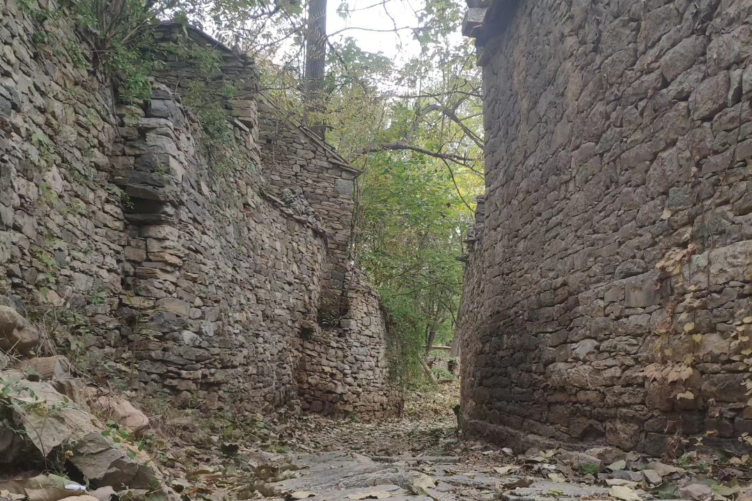 探寻被抛弃的古村落济南南部山区的凤凰村