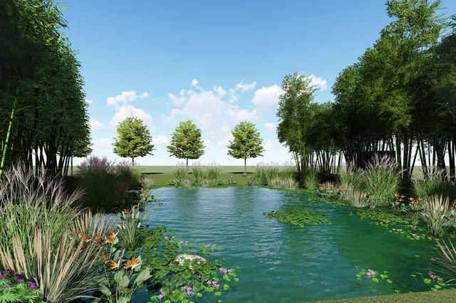 提升水质,建景观灯……乡村池塘变身为美丽风景线