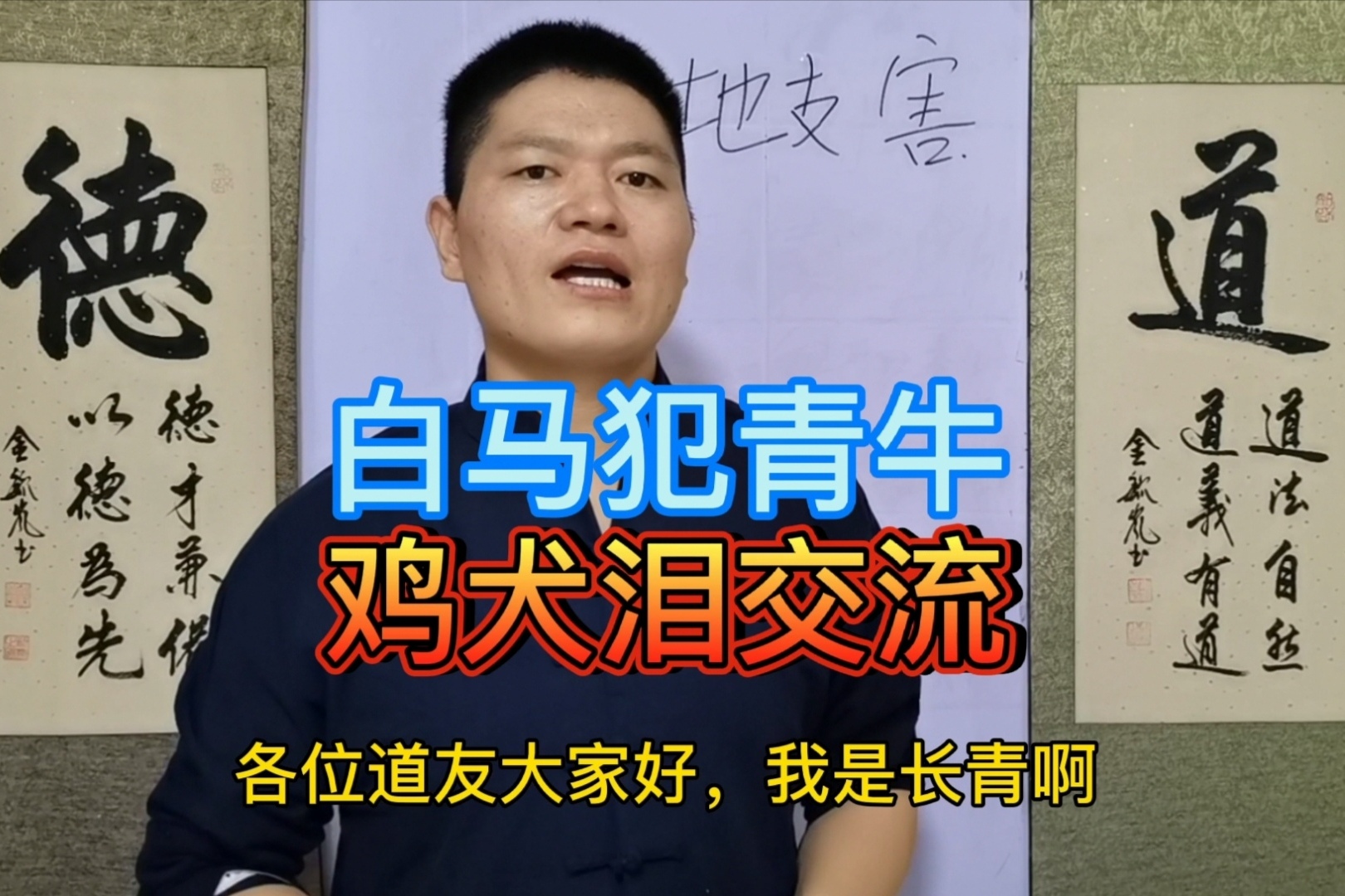 白马犯青牛鸡犬泪交流讲的到底是什么长青为你讲解