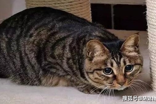 524880b58570484f82507f6ecffba9