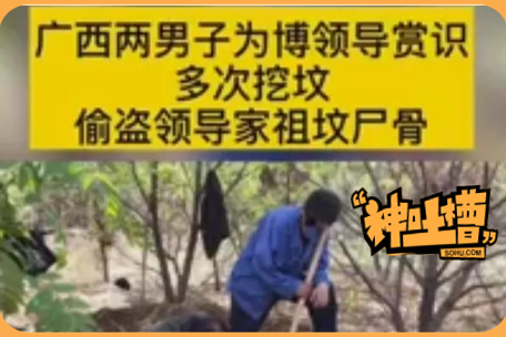神吐槽：太奇葩！广西两男子为博领导赏识，多次挖领导家祖坟偷盗尸骨_游客