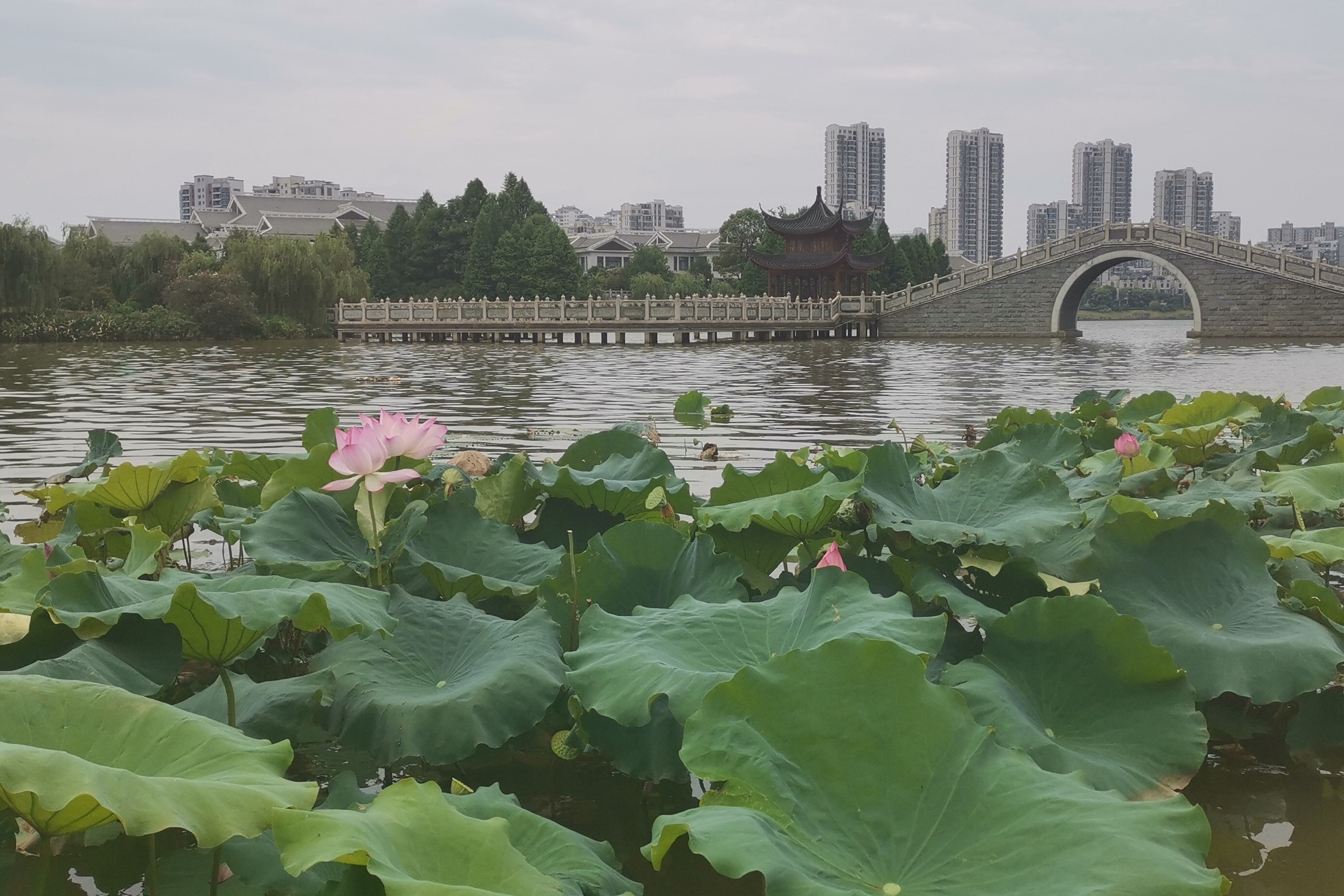 安吉荷花山景区图片