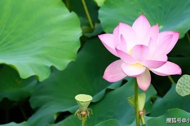 小七聊星座的个人展示页