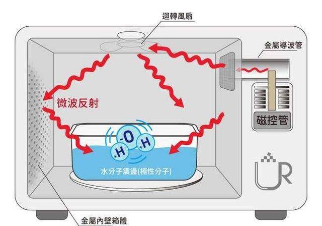 红洁爱体育的个人展示页