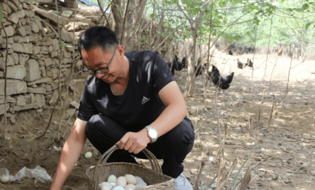 平阴广播电视台的个人展示页