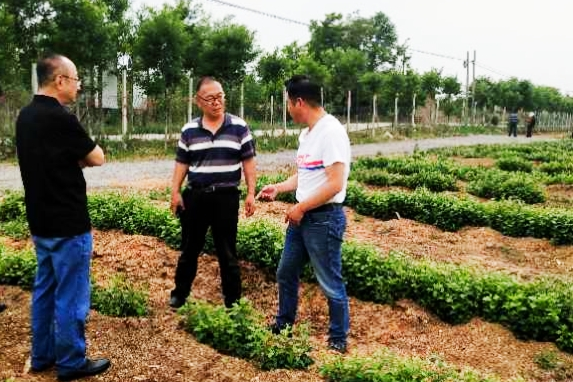 中央电视台《成功之路》栏目总制片人李长征走进陕西康霖现代农业
