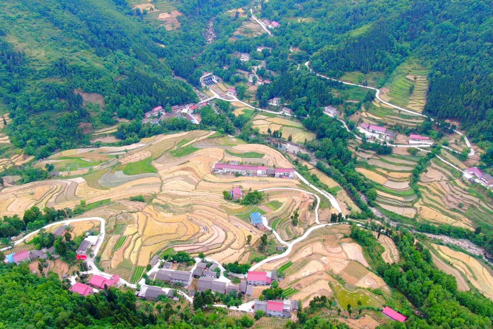 陕南巴山深处发现坐落在大山脚下的世外桃源之地原来叫八庙河村