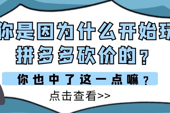 拼多多查看数据_多多拼数据手机看的到吗_拼多多手机怎么看数据