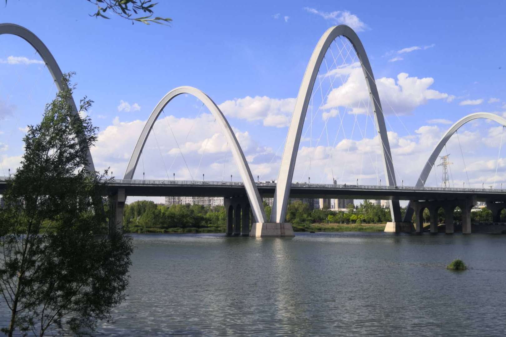 美丽的太原,漂亮的桥