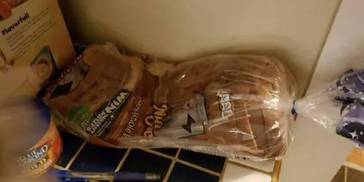 还没来得及吃的面包被猫压成这样了，猫表情还一脸无辜！