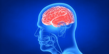 《英国医学杂志》：做好6件事，恢复大脑活力