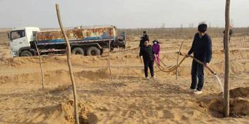 宁夏灵武通报“跪地求水”事件：对苗木已采取有效保护措施