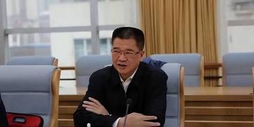 卸任重庆副市长4个月被查，此前未通过全国人大代表资格审查