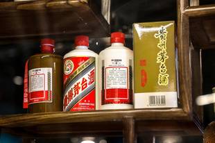 茅系大溃败启示录