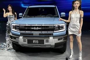 方程豹豹5造型惹争议