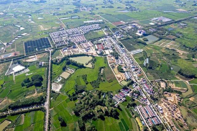 安徽试点"小田变大田" 有何深意?