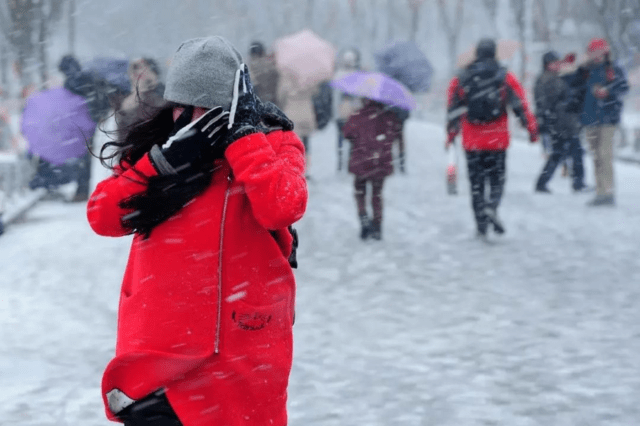 “暖冬”里的寒潮 该如何应对？