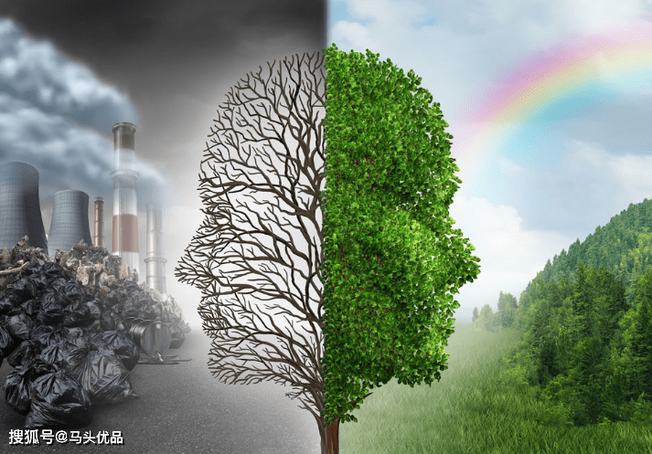 生态与经济如何平衡可持续发展