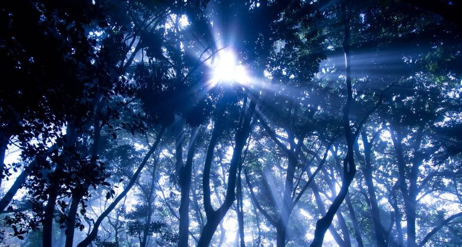 厨电业正道不能被集成灶带偏：方太老板海尔美的们要“上天入地”-家电圈官网