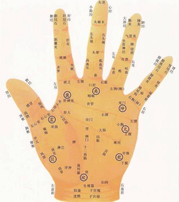 手诊必学的基础：看懂十四条线-搜狐大视野-搜狐新闻