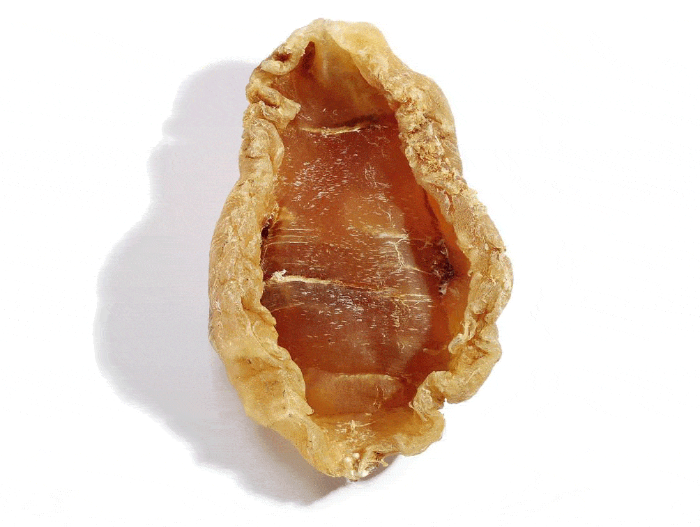 斗湖鱼胶你有听说过吗?快来了解一下吧(内附鱼胶食谱哦~)