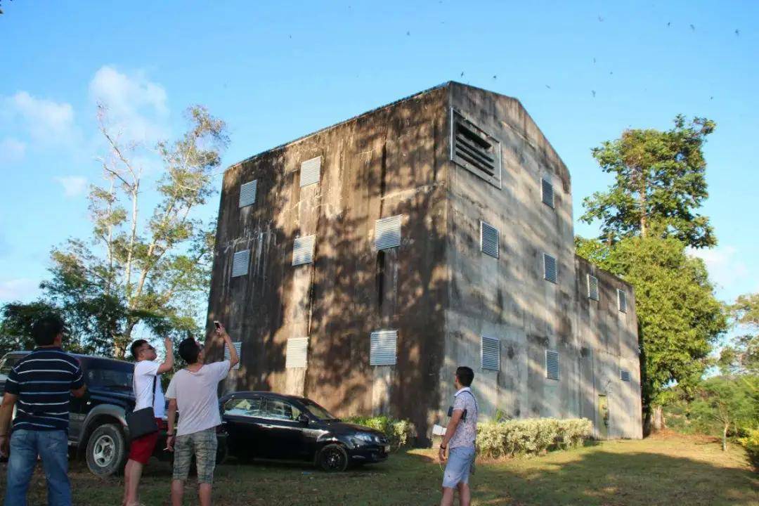 用心服务坚守品质只为带给你独具匠心的新芽心燕