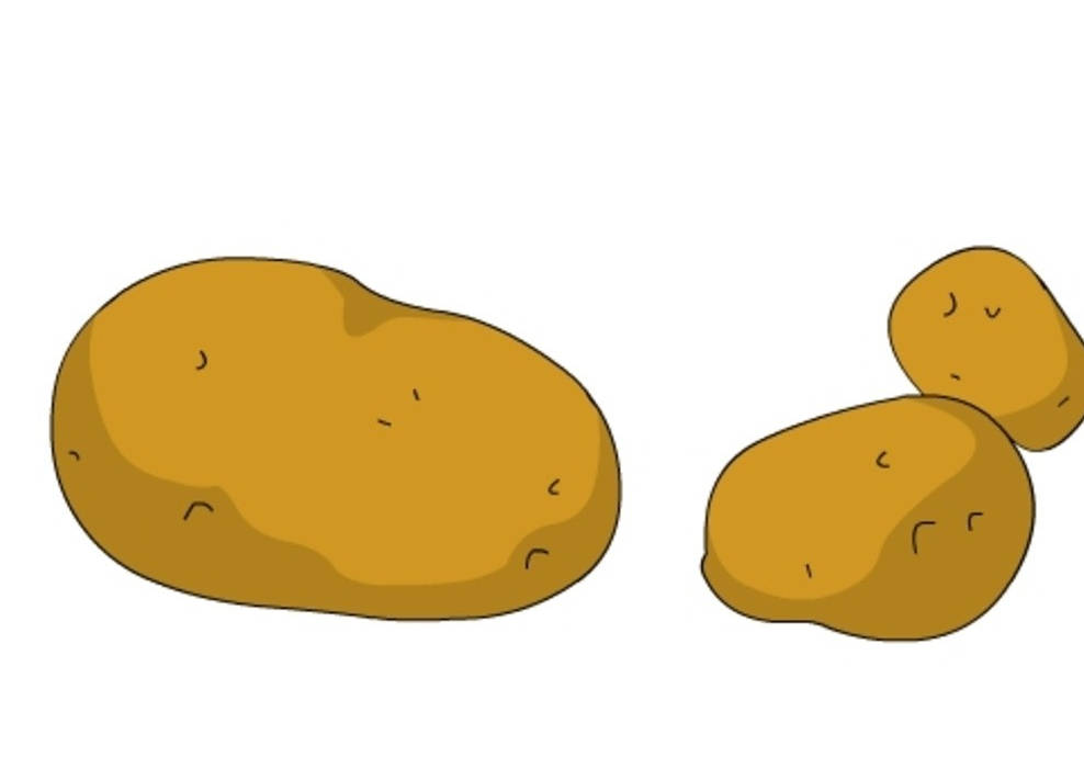 原创九岁学生作文《滚来滚去的小土豆》,想象力很丰富,写得很有趣!