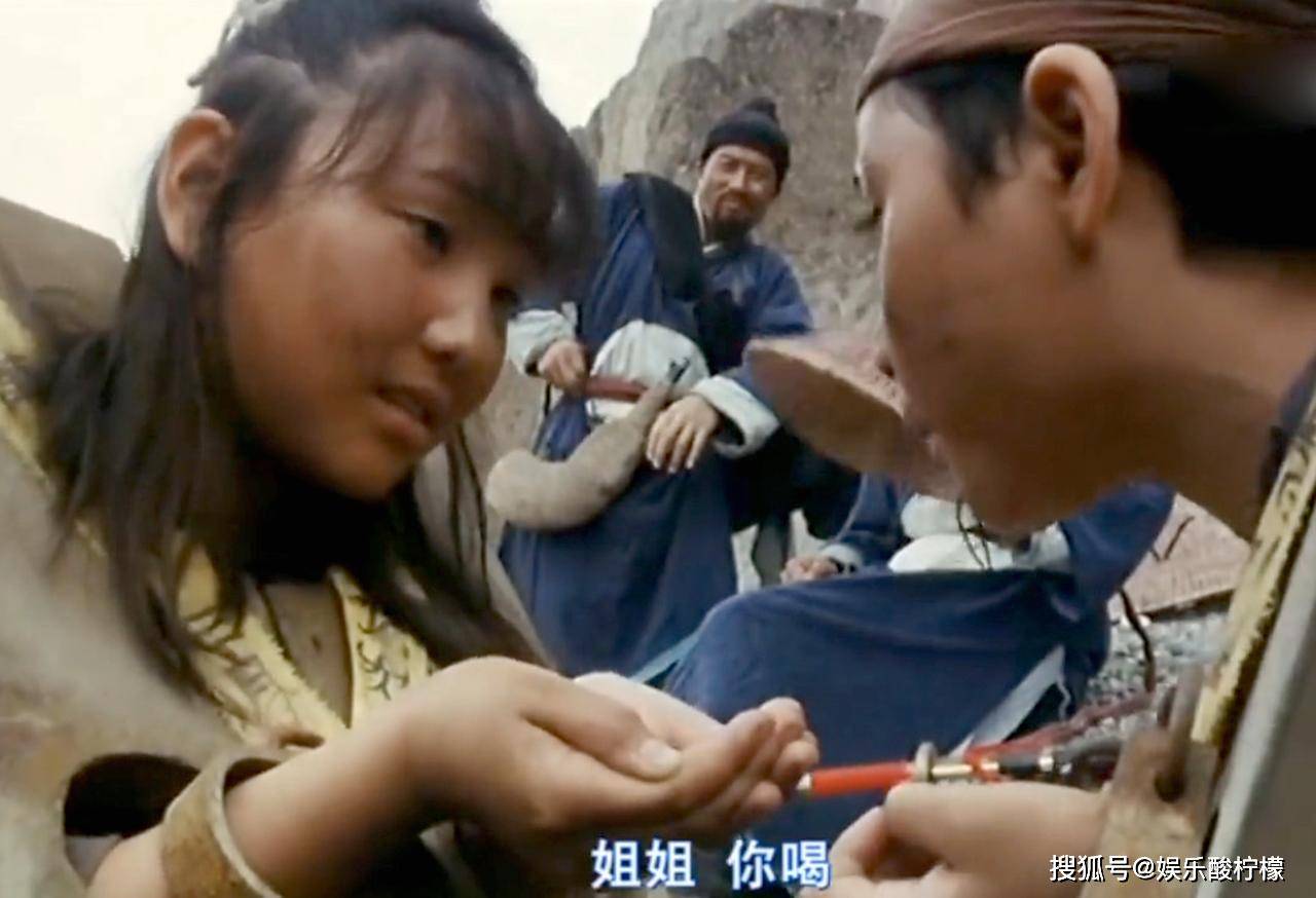 林青霞,张曼玉,甄子丹,吴启华,熊欣欣,刘洵,徐锦江等等,《新龙门客栈