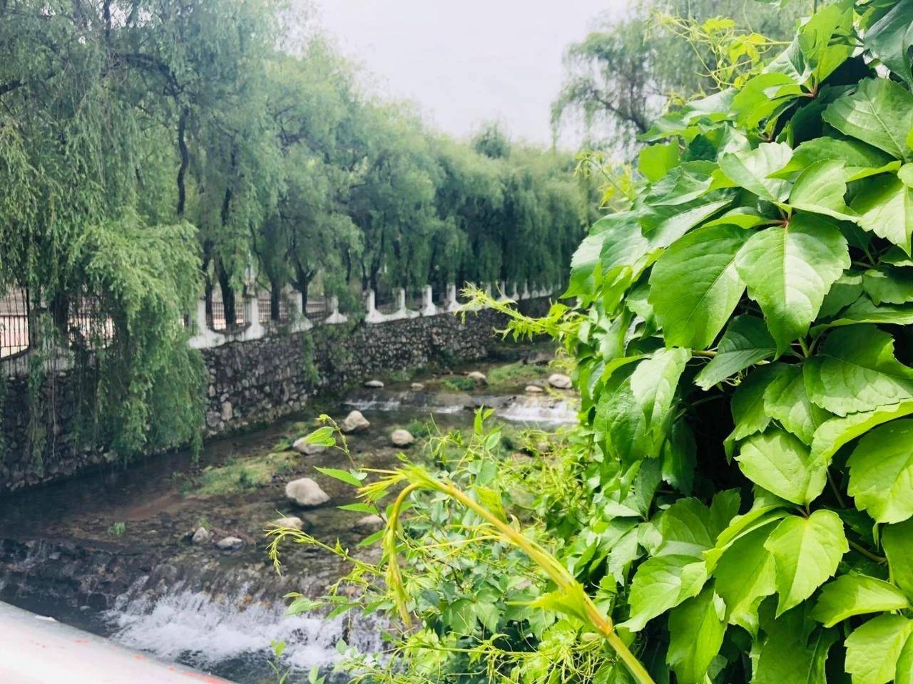 西安翻译学院祝2020届即将离开校园的毕业生一切都好