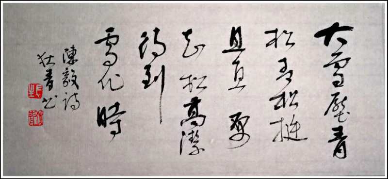 张狄青书法作品鉴赏