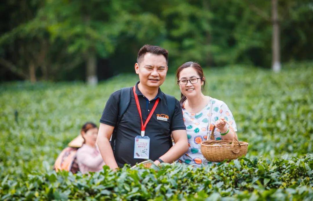 辞春迎夏采茶去，跟奇骏翻越茶山品香茗