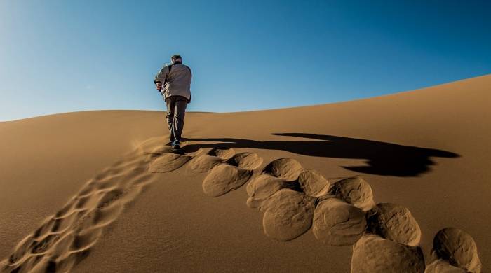 家电行业没有那么多新风口，经销商们不要再被忽悠了-家电圈官网