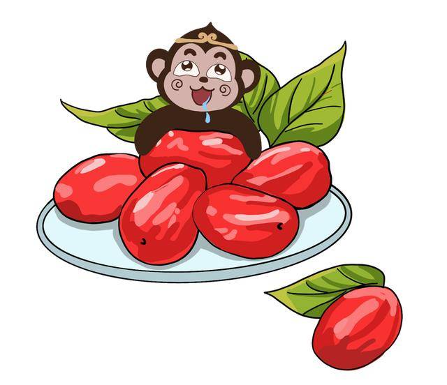 红枣,又名大枣,属于被子植物门,双子叶植物纲,鼠李目,鼠李科,枣属的