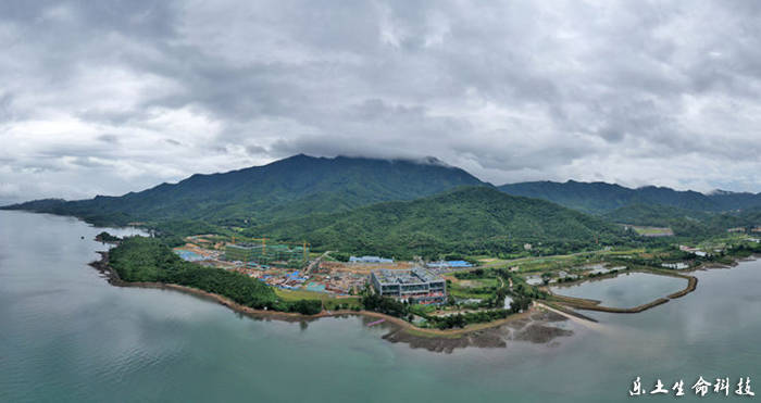 坝光|乐土沃森生命科技中心落成庆典在大鹏新区隆重举行