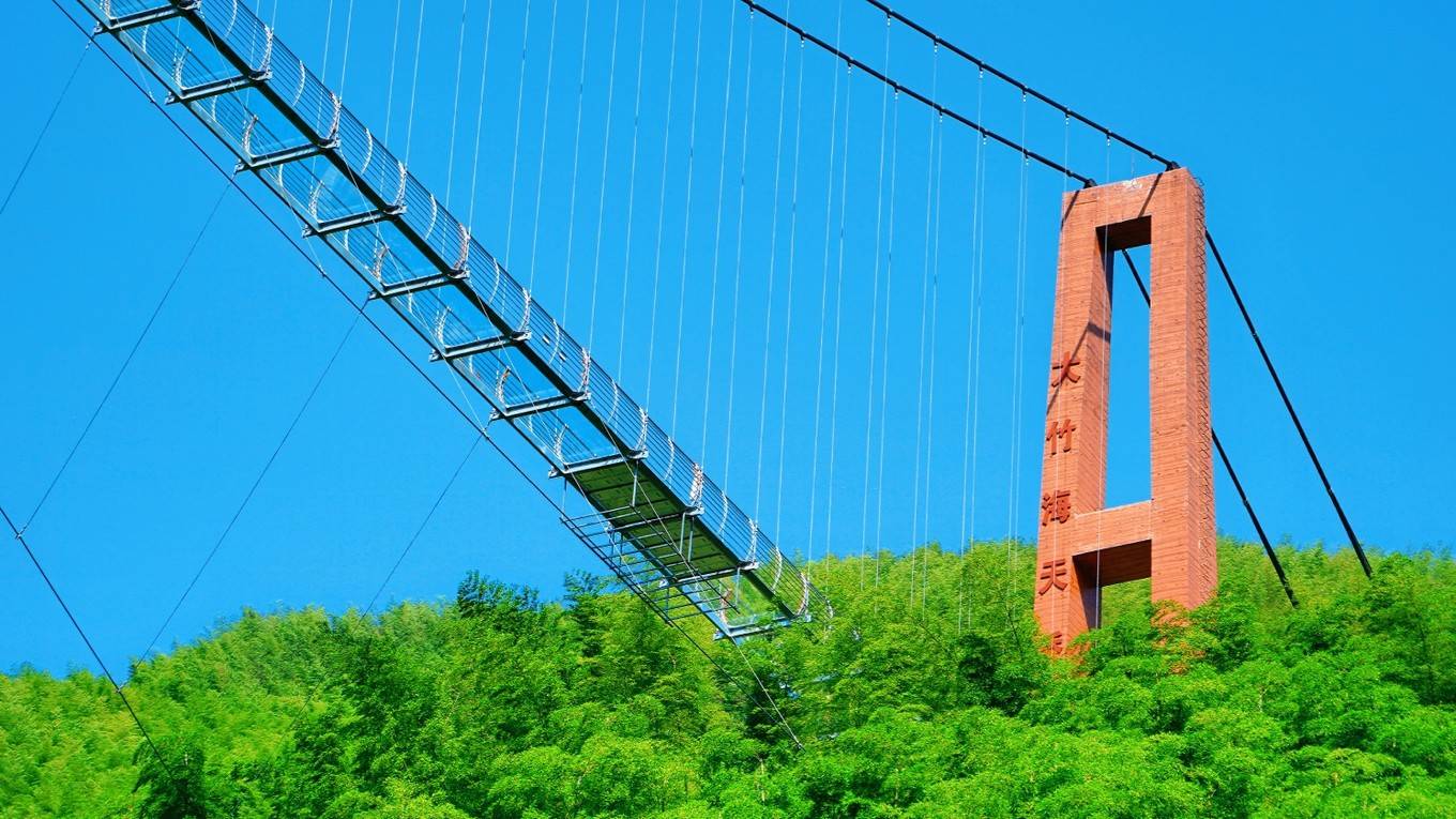 在 安吉 有很多的竹笋,自然就有许多的竹子.