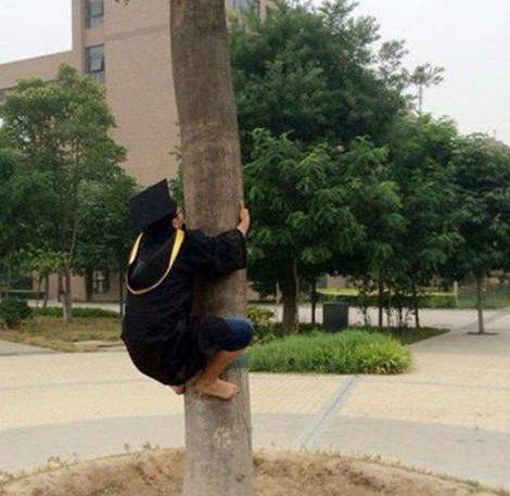 四年,毕业了,学会了爬树