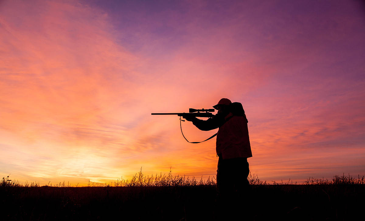 牛肉,猪肉限购了!美国"肉荒"来了,民众纷纷上山打猎…(麟州食品)