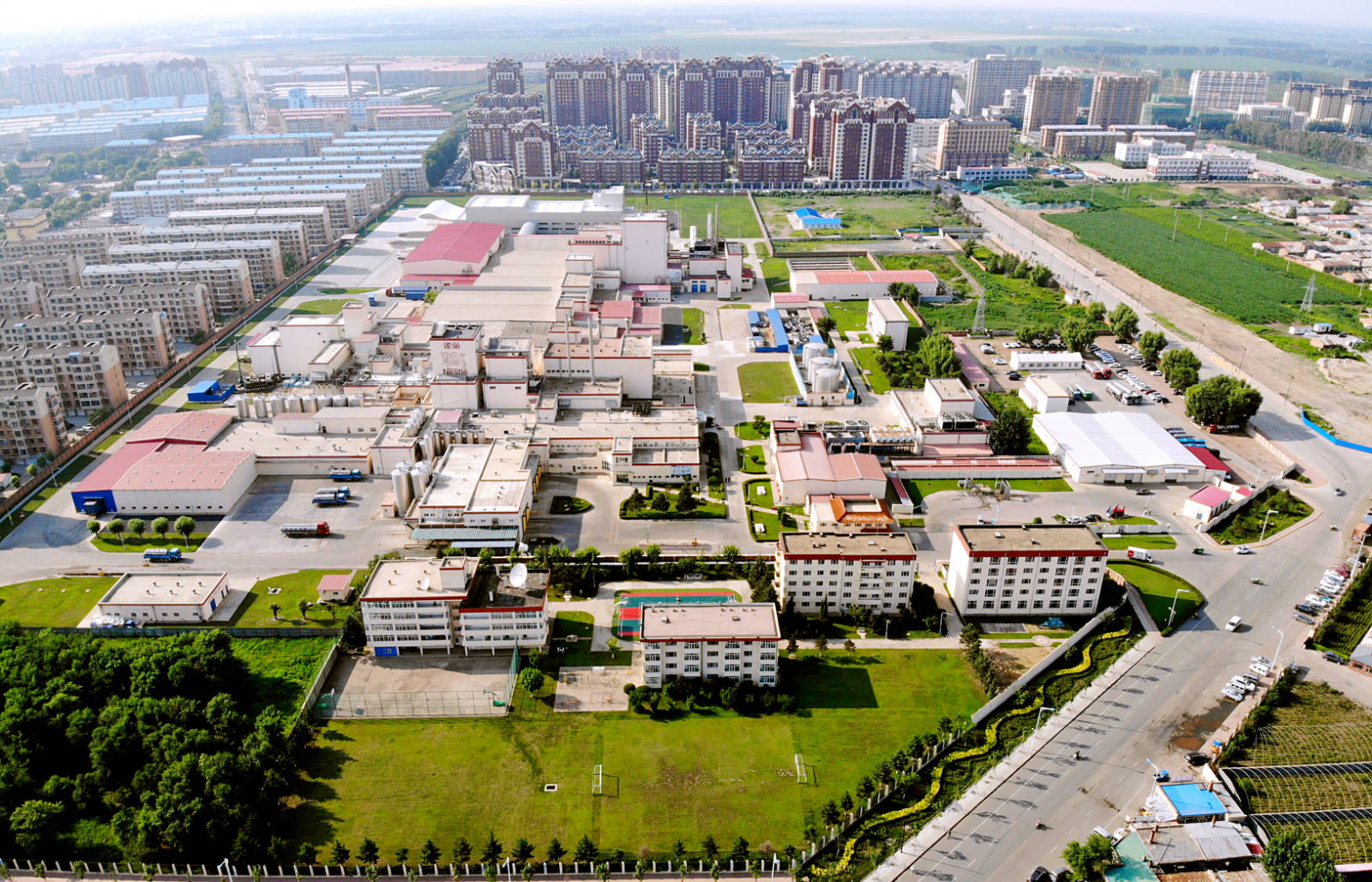 哈尔滨双城区:实施六项行动 按下经济高质量发展快进键