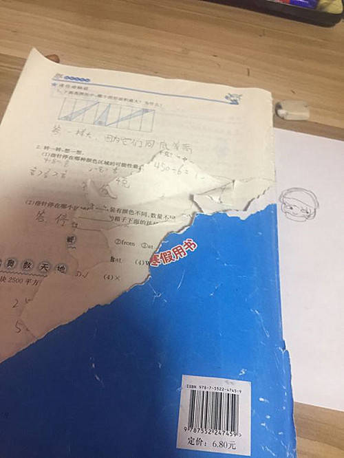 原创二哈将作业本撕碎铲屎官又急又气小主人的脸上却飘过一丝窃喜