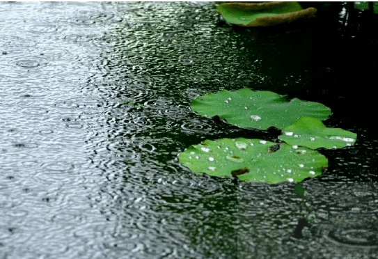 夏天的雨 王峰图片