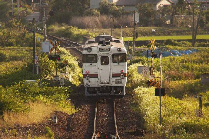 图片[4] - 【xizi被窝段子20200529】生活是苦难的 我又划着断桨出发 - xizi