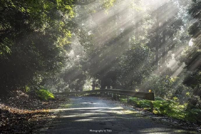 图片[5] - 【xizi被窝段子20200529】生活是苦难的 我又划着断桨出发 - xizi