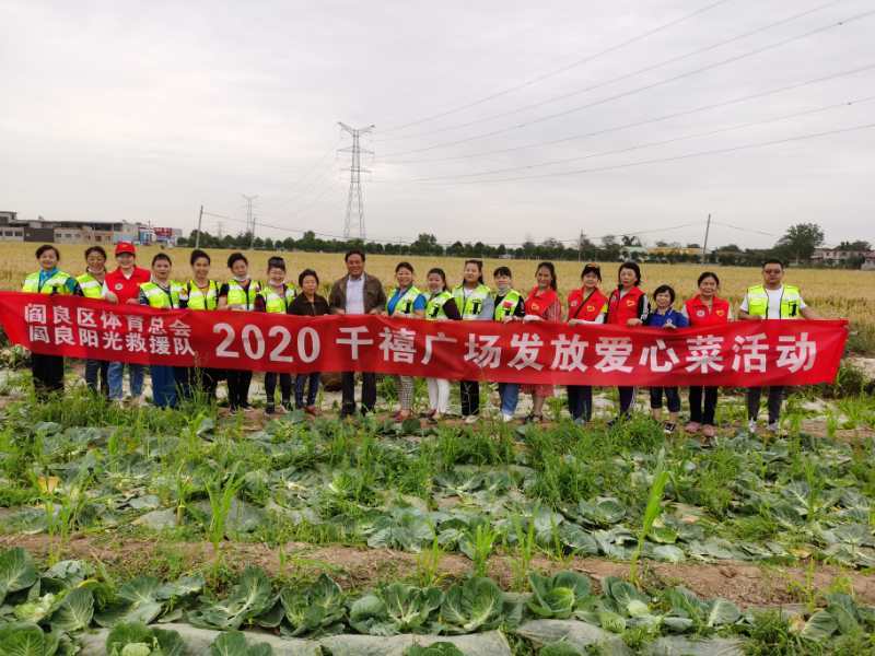 西安市万斤莲花白免费发放给清洁工和敬老院