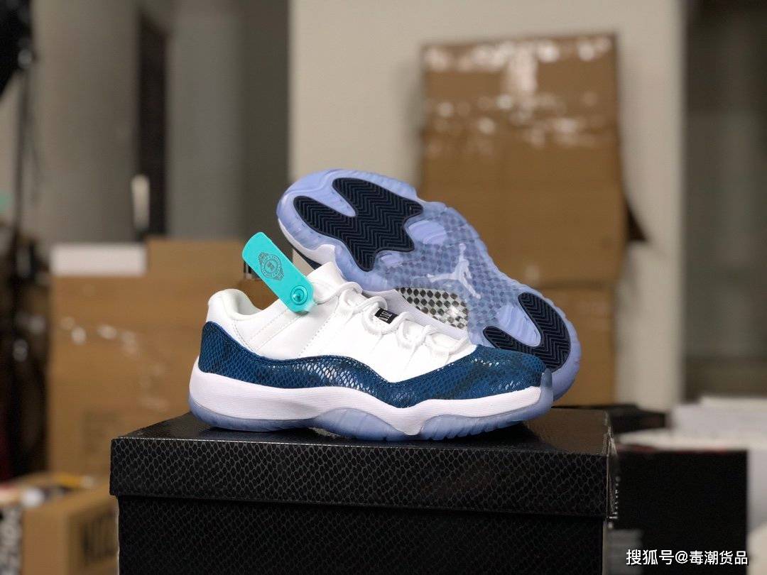 aj11蓝蛇碳板图片